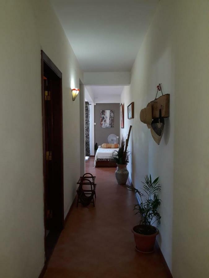 Pereybere Marlin Studio Apartment Pereybere Beach Exterior photo